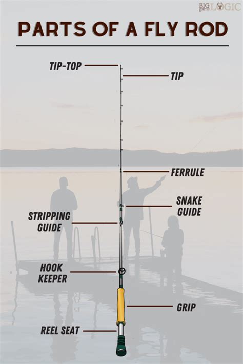Parts of a Fly Rod – Guide With Pictures .